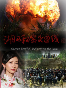 线上展映，参展影片共计238部，其中《连环追击》《春江水暖》《拯救列宁格勒》占据观看热 上一页12345.